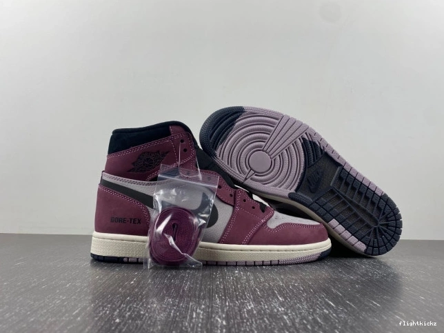 Jordan Gore-Tex Air Element 1 DB2889-500 0724